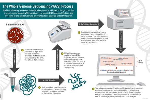 Sequencing