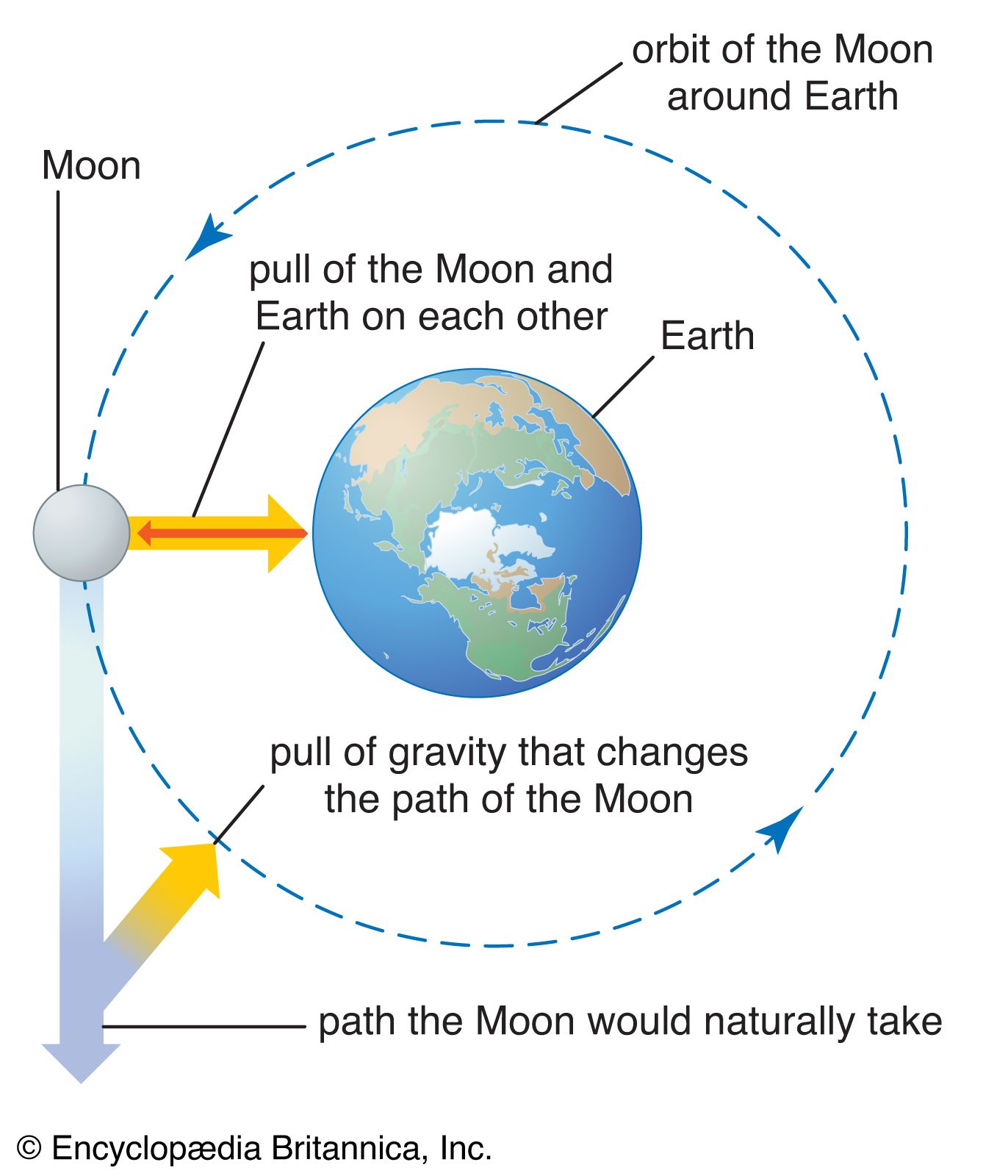Gravity