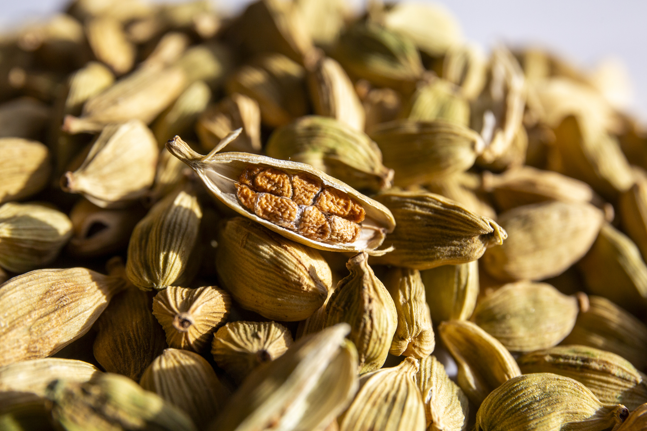 Cardamom