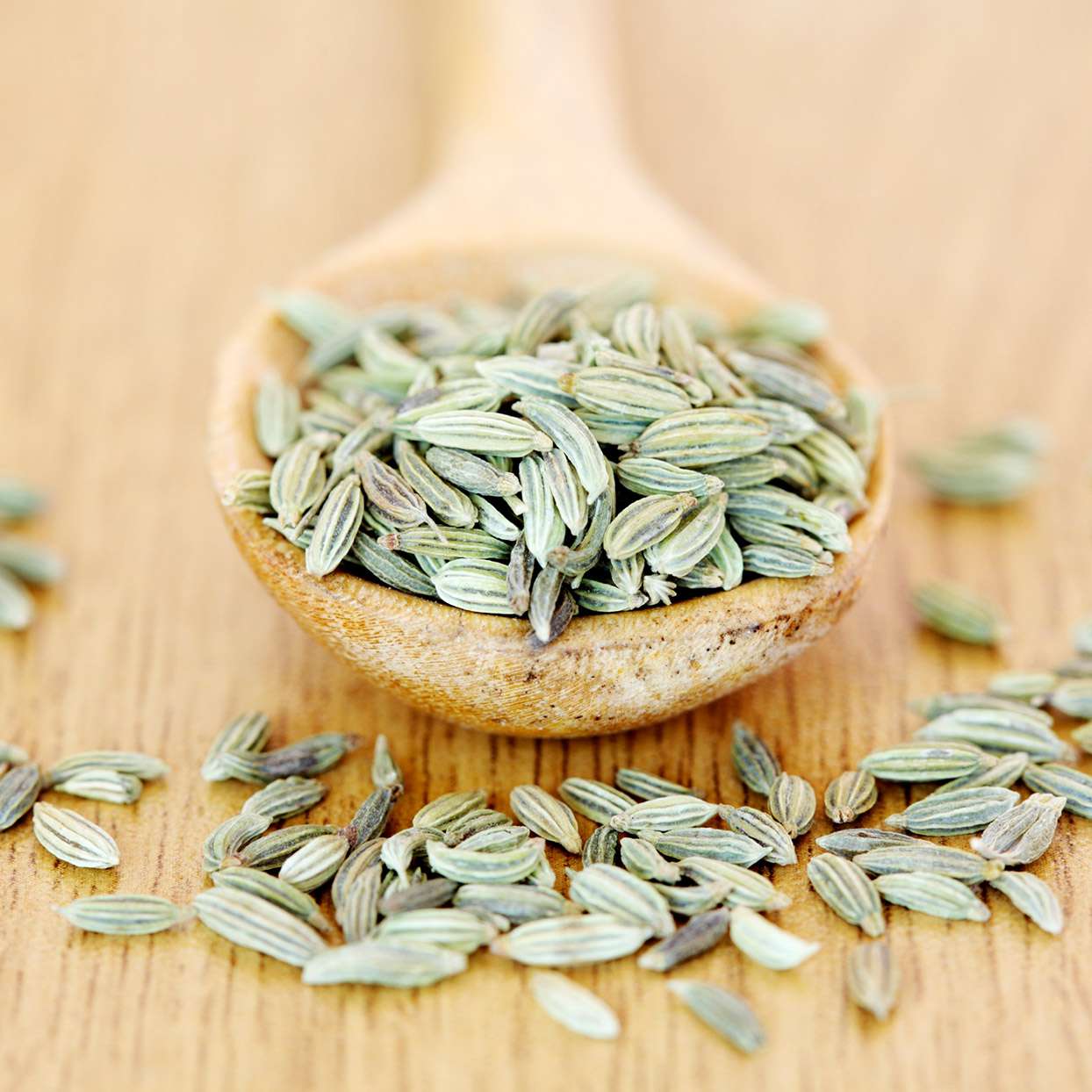 Fennel