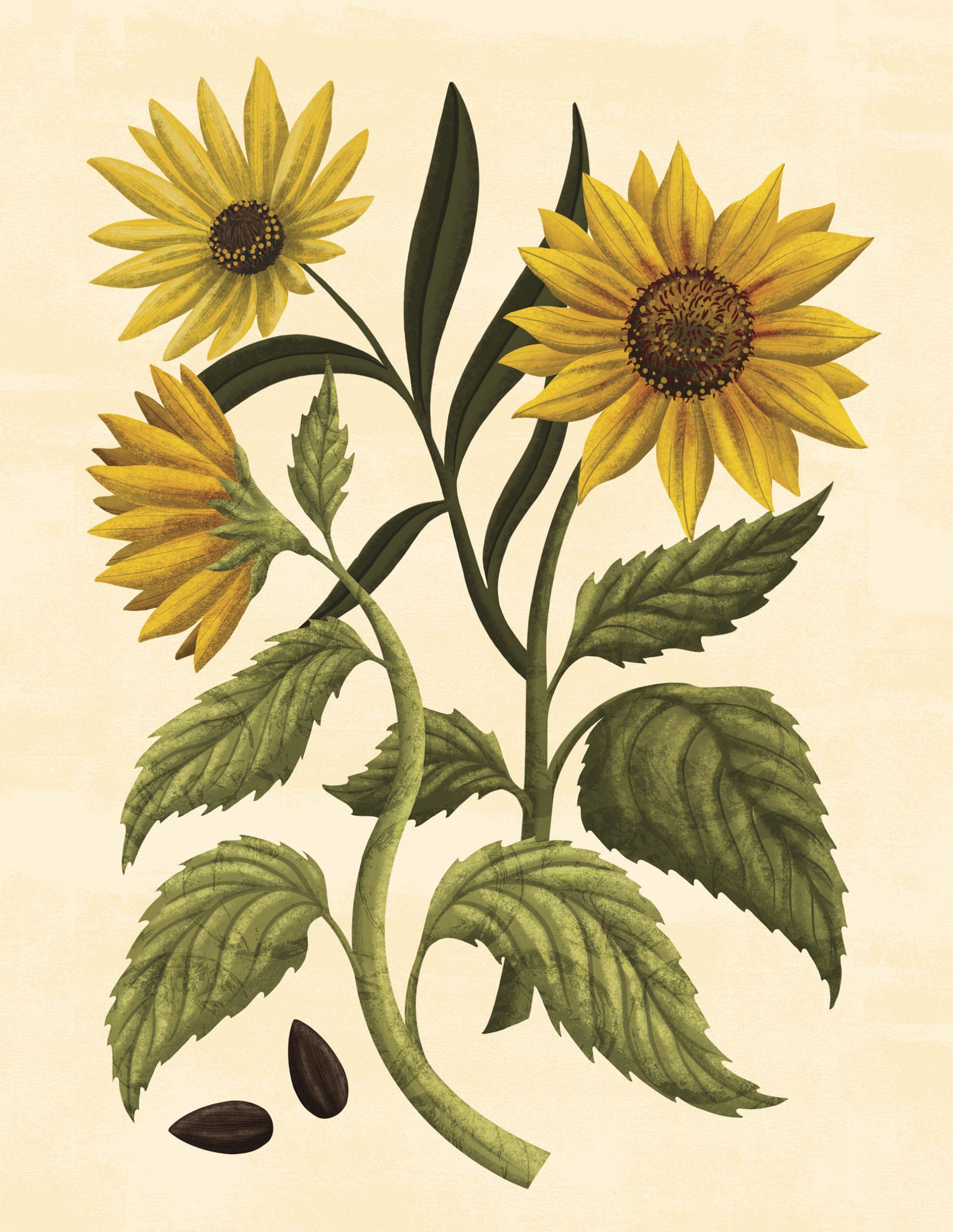 Botany