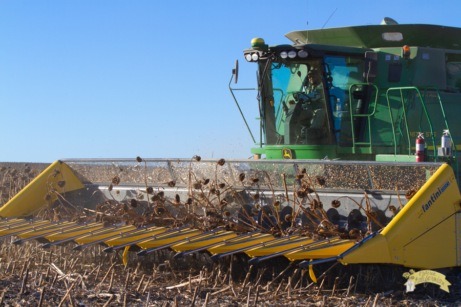 Harvest