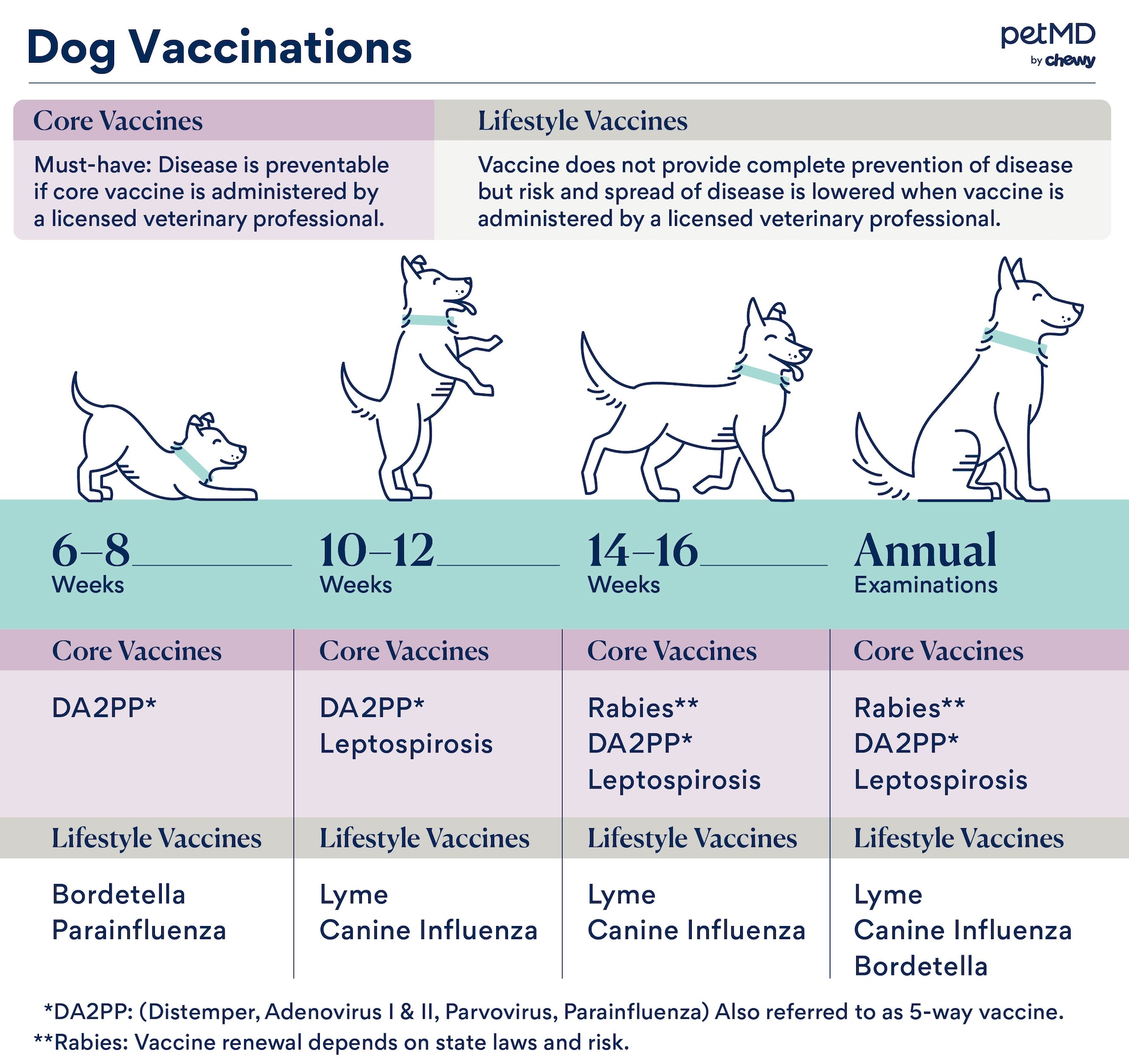 Vaccination