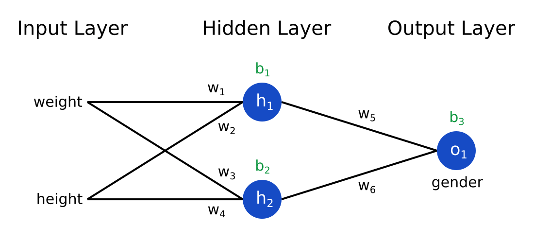 Neural Networks