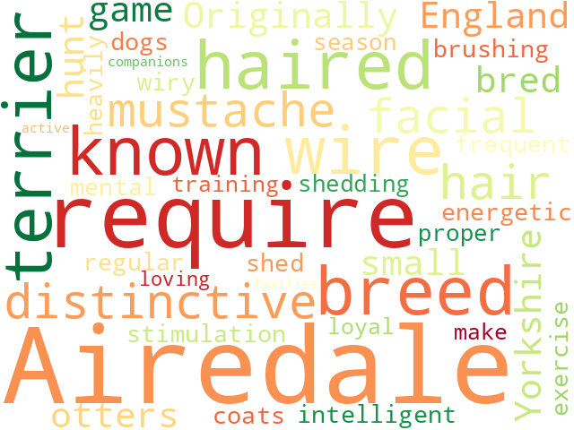 Word Cloud for airedale
