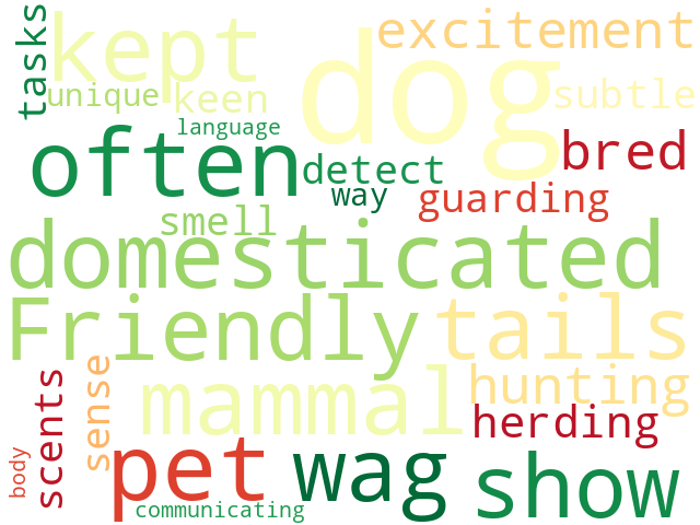 Word Cloud for dog