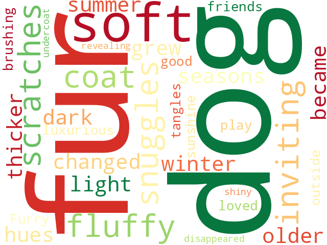 Word Cloud for furry