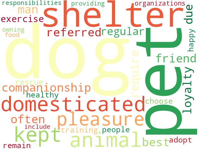 Word Cloud for pet