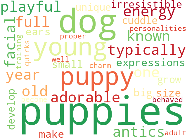 Word Cloud for puppy