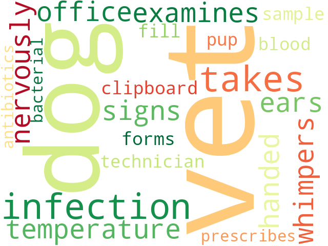 Word Cloud for vet