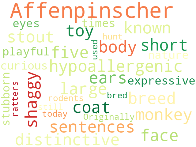 Word Cloud for affenpinscher