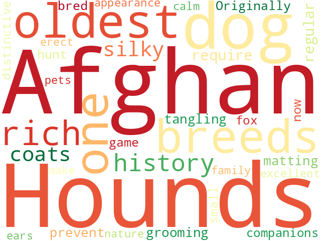 Word Cloud for afghan_hound