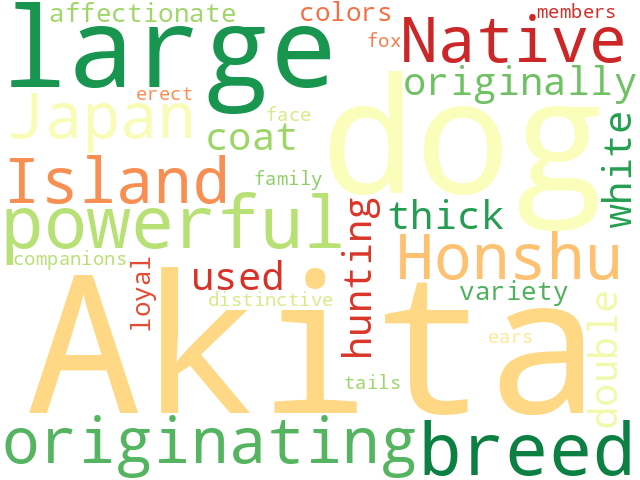 Word Cloud for akita