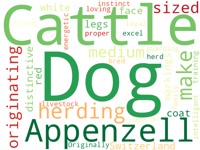 Word Cloud for appenzell_cattle_dog