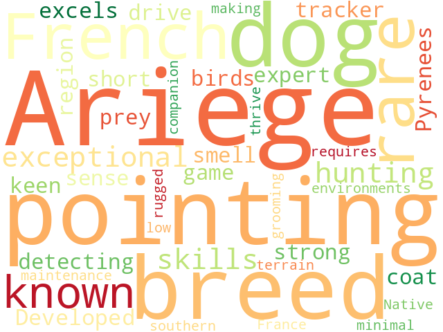 Word Cloud for ariege_pointing_dog