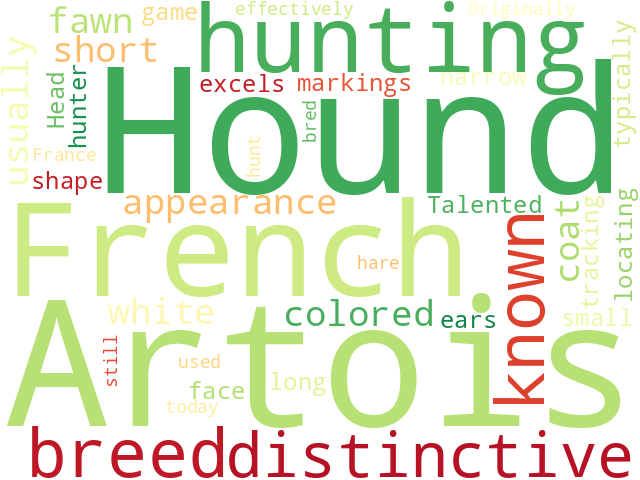 Word Cloud for artois_hound