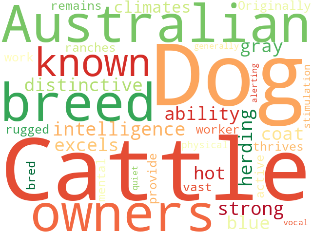 Word Cloud for australian_cattle_dog