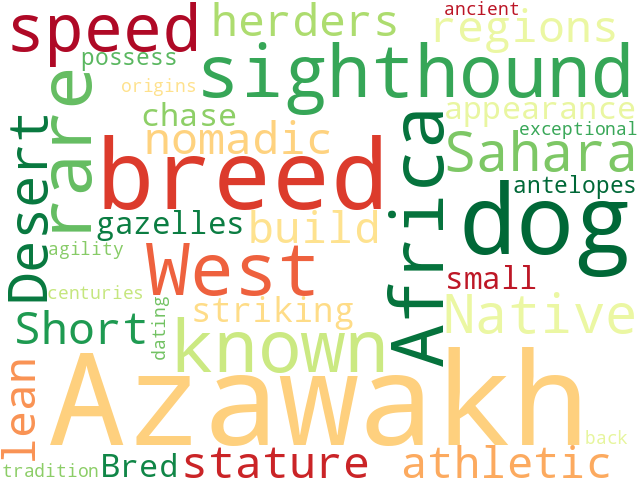 Word Cloud for azawakh