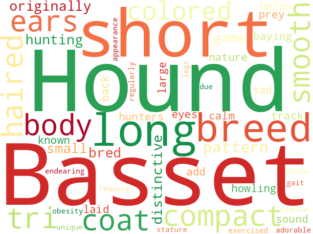 Word Cloud for basset_hound