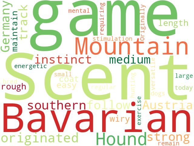Word Cloud for bavarian_mountain_scent_hound
