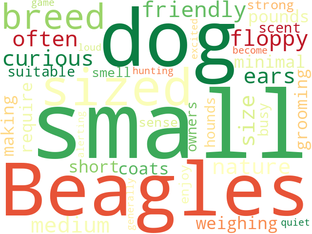 Word Cloud for beagle
