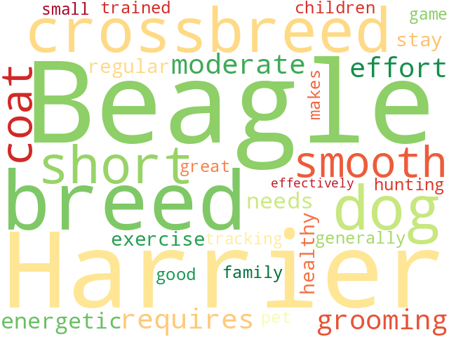 Word Cloud for beagle_harrier