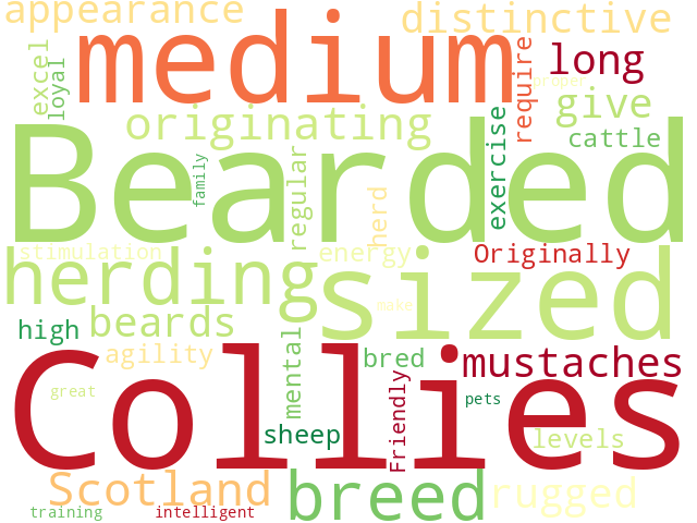 Word Cloud for bearded_collie