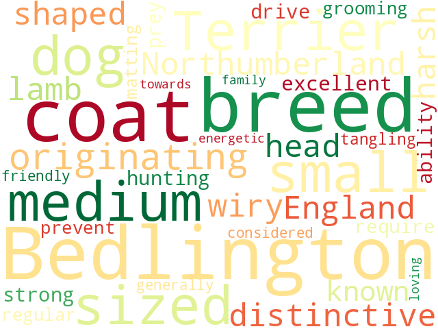 Word Cloud for bedlington_terrier