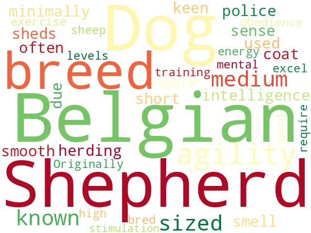 Word Cloud for belgian_shepherd_dog