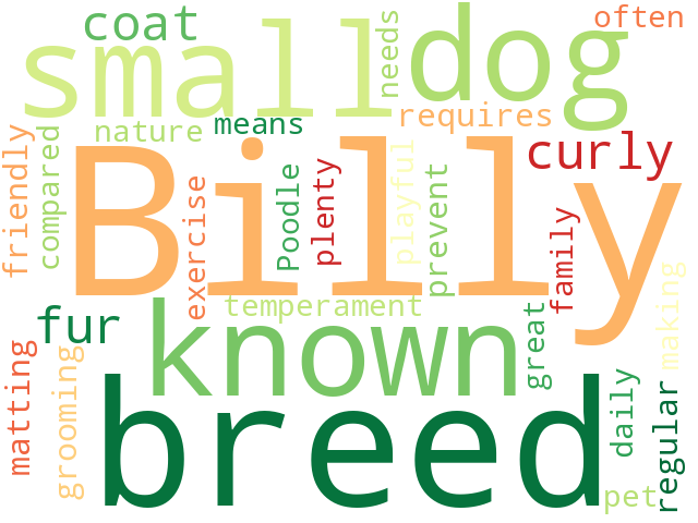Word Cloud for billy