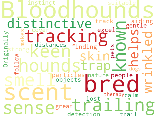 Word Cloud for bloodhound