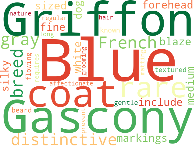 Word Cloud for blue_gascony_griffon