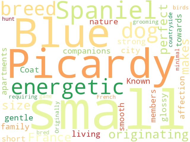 Word Cloud for blue_picardy_spaniel