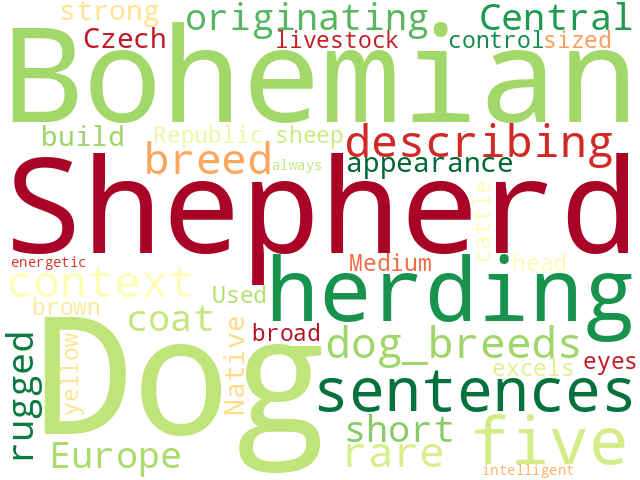 Word Cloud for bohemian_shepherd_dog