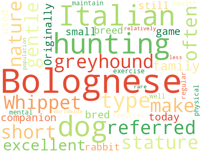 Word Cloud for bolognese