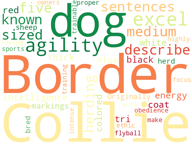 Word Cloud for border_collie