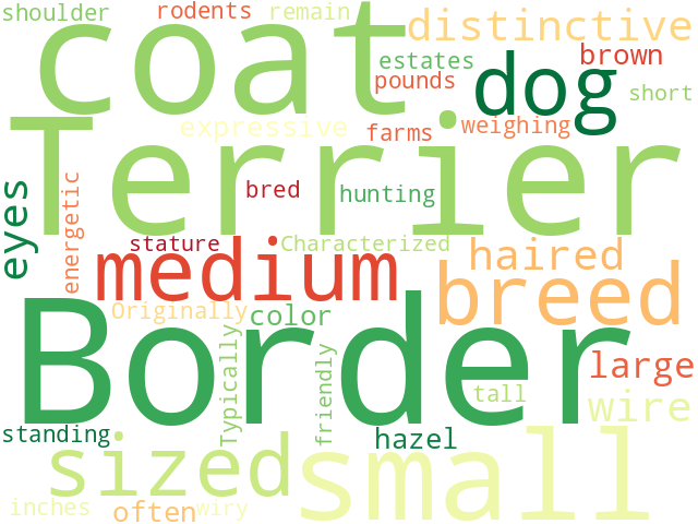 Word Cloud for border_terrier