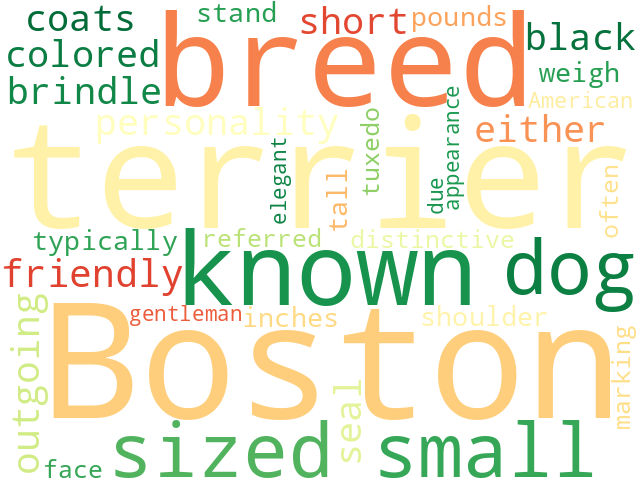 Word Cloud for boston_terrier