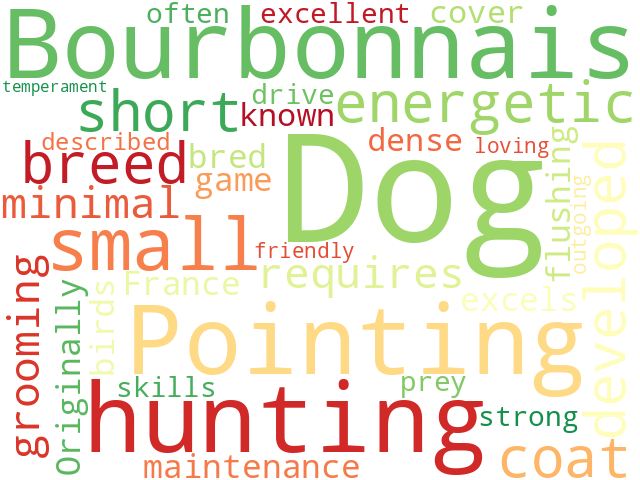 Word Cloud for bourbonnais_pointing_dog