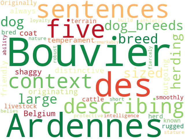 Word Cloud for bouvier_des_ardennes