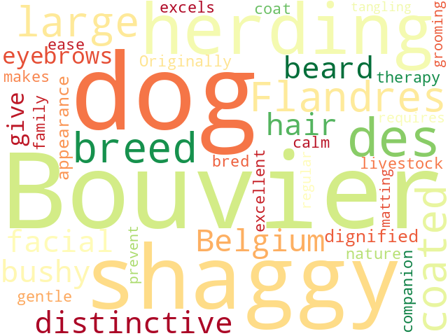 Word Cloud for bouvier_des_flandres