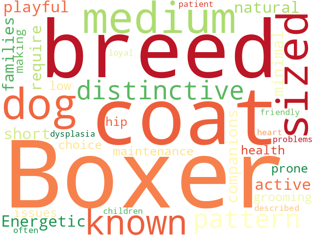 Word Cloud for boxer