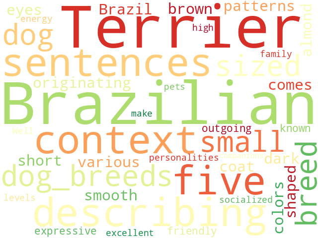 Word Cloud for brazilian_terrier