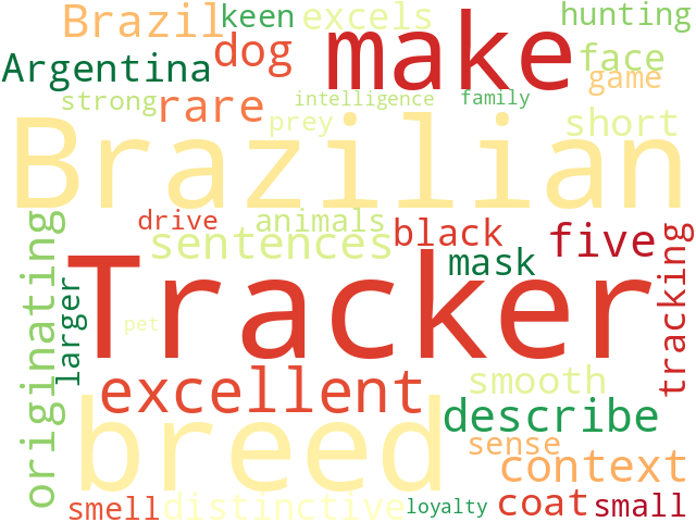 Word Cloud for brazilian_tracker