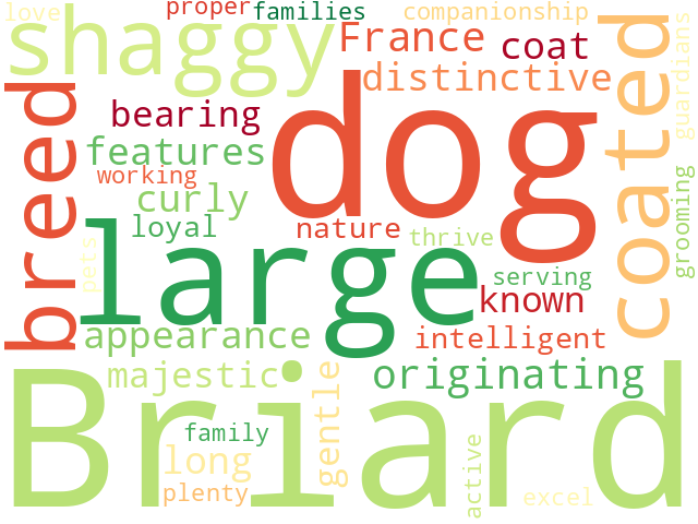 Word Cloud for briard