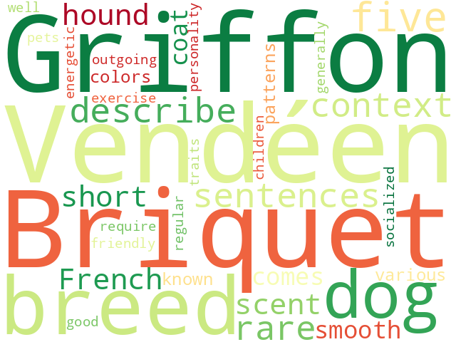 Word Cloud for briquet_griffon_vendeen