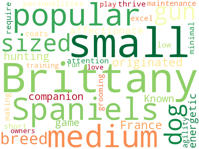 Word Cloud for brittany_spaniel
