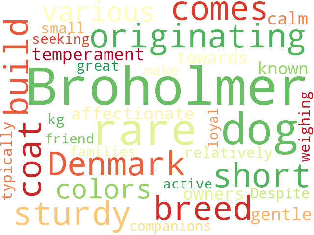 Word Cloud for broholmer