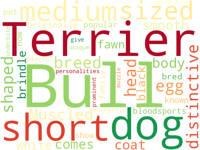 Word Cloud for bull_terrier