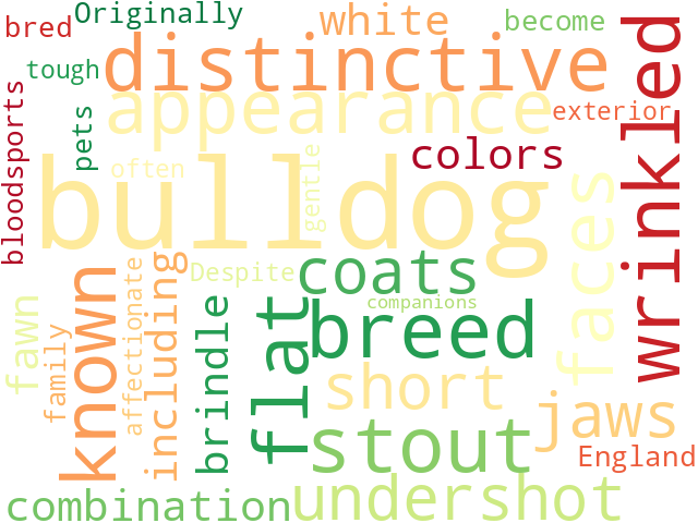 Word Cloud for bulldog